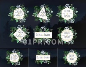 Pr热带绿叶字幕模板 6组夏日风情森系婚礼文字标题 Pr字幕模板